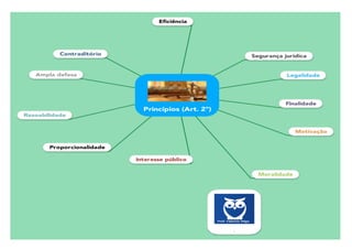 Lei 9784/99 Esquematizada em Mapas Mentais
Prof. Fabrício Rêgo
Prof. Fabrício Rêgo www.estrategiaconcursos.com.br 3 de 20
 