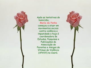 Após as tentativas de homicídio,  Maria da Penha  começou a atuar em movimentos sociais contra violência e impunidade e hoje é coordenadora de Estudos, Pesquisas e Publicações da Associação de Parentes e Amigos de Vítimas de Violência (APAVV) no Ceará.  
