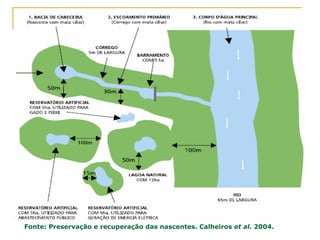 Fonte: Preservação e recuperação das nascentes. Calheiros et al. 2004.
 