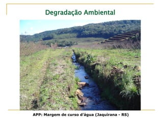 Degradação AmbientalDegradação Ambiental
APP: Margem de curso d’água (Jaquirana - RS)
 