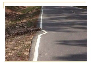 Lei 4.771 65-codigo_florestal