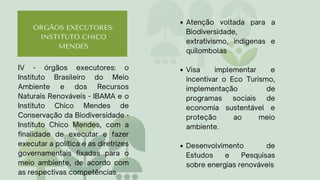 ORGÃOS EXECUTORES:
INSTITUTO CHICO
MENDES
Atenção voltada para a
Biodiversidade,
extrativismo, indígenas e
quilombolas
Visa implementar e
incentivar o Eco Turismo,
implementação de
programas sociais de
economia sustentável e
proteção ao meio
ambiente.
Desenvolvimento de
Estudos e Pesquisas
sobre energias renováveis
IV - órgãos executores: o
Instituto Brasileiro do Meio
Ambiente e dos Recursos
Naturais Renováveis - IBAMA e o
Instituto Chico Mendes de
Conservação da Biodiversidade -
Instituto Chico Mendes, com a
finalidade de executar e fazer
executar a política e as diretrizes
governamentais fixadas para o
meio ambiente, de acordo com
as respectivas competências
 
