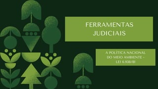 FERRAMENTAS
JUDICIAIS
A POLÍTICA NACIONAL
DO MEIO AMBIENTE -
LEI 6.938/81
 