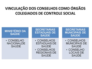 VINCULAÇÃO DOS CONSELHOS COMO ÓRGÃOS 
COLEGIADOS DE CONTROLE SOCIAL 
 