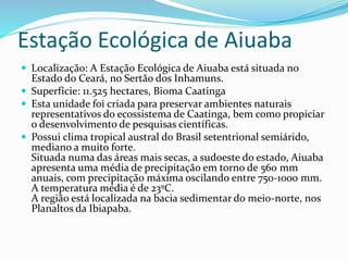 Estação Ecológica de Aiuaba
 Localização: A Estação Ecológica de Aiuaba está situada no
Estado do Ceará, no Sertão dos Inhamuns.
 Superfície: 11.525 hectares, Bioma Caatinga
 Esta unidade foi criada para preservar ambientes naturais
representativos do ecossistema de Caatinga, bem como propiciar
o desenvolvimento de pesquisas científicas.
 Possui clima tropical austral do Brasil setentrional semiárido,
mediano a muito forte.
Situada numa das áreas mais secas, a sudoeste do estado, Aiuaba
apresenta uma média de precipitação em torno de 560 mm
anuais, com precipitação máxima oscilando entre 750-1000 mm.
A temperatura média é de 23ºC.
A região está localizada na bacia sedimentar do meio-norte, nos
Planaltos da Ibiapaba.
 