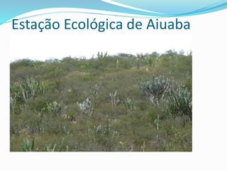 Estação Ecológica de Aiuaba
 