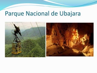 Parque Nacional de Ubajara
 