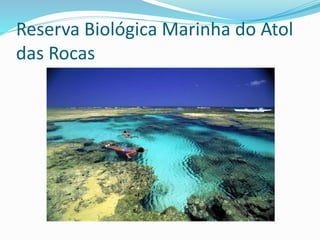 Reserva Biológica Marinha do Atol
das Rocas
 