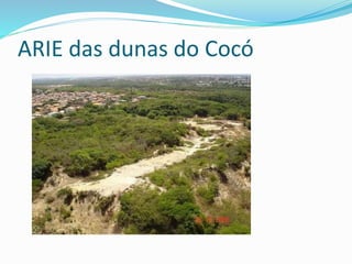 ARIE das dunas do Cocó
 