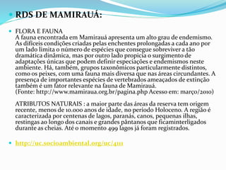  RDS DE MAMIRAUÁ:
 FLORA E FAUNA
A fauna encontrada em Mamirauá apresenta um alto grau de endemismo.
As difíceis condições criadas pelas enchentes prolongadas a cada ano por
um lado limita o número de espécies que consegue sobreviver a tão
dramática dinâmica, mas por outro lado propicia o surgimento de
adaptações únicas que podem definir especiações e endemismos neste
ambiente. Há, também, grupos taxonômicos particularmente distintos,
como os peixes, com uma fauna mais diversa que nas áreas circundantes. A
presença de importantes espécies de vertebrados ameaçados de extinção
também é um fator relevante na fauna de Mamirauá.
(Fonte: http://www.mamiraua.org.br/pagina.php Acesso em: março/2010)
ATRIBUTOS NATURAIS : a maior parte das áreas da reserva tem origem
recente, menos de 10.000 anos de idade, no período Holoceno. A região é
caracterizada por centenas de lagos, paranás, canos, pequenas ilhas,
restingas ao longo dos canais e grandes pântanos que ficaminterligados
durante as cheias. Até o momento 499 lagos já foram registrados.
 http://uc.socioambiental.org/uc/4111
 