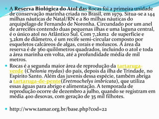  A Reserva Biológica do Atol das Rocas foi a primeira unidade
de conservação marinha criada no Brasil, em 1979. Situa-se a 144
milhas náuticas de Natal/RN e a 80 milhas náuticas do
arquipélago de Fernando de Noronha. Circundado por um anel
de arrecifes contendo duas pequenas ilhas e uma laguna central,
é o único atol no Atlântico Sul. Com 7,2km2 de superfície e
3,2km de diâmetro, é um recife semi-circular composto por
esqueletos calcáreos de algas, corais e moluscos. A área da
reserva é de 360 quilômetros quadrados, incluindo o atol e toda
a área marinha em volta, até a profundidade média de mil
metros.
 Rocas é a segunda maior área de reprodução da tartaruga-
verde (Chelonia mydas) do país, depois da ilha de Trindade, no
Espírito Santo. Além das juvenis dessa espécie, também abriga
a tartaruga-de-pente(Eretmochelys imbricata), que utiliza
essas águas para abrigo e alimentação. A temporada de
reprodução ocorre de dezembro a julho, quando se registram em
média 400 desovas, com geração de 35 mil filhotes.
 http://www.tamar.org.br/base.php?cod=22
 