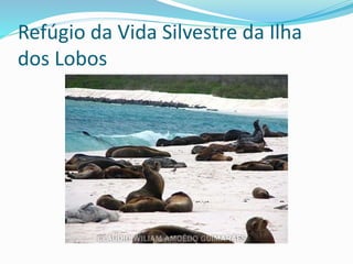 Refúgio da Vida Silvestre da Ilha
dos Lobos
 