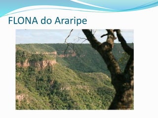 FLONA do Araripe
 