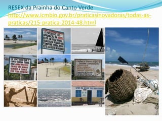 RESEX da Prainha do Canto Verde
http://www.icmbio.gov.br/praticasinovadoras/todas-as-
praticas/215-pratica-2014-48.html
 