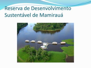 Reserva de Desenvolvimento
Sustentável de Mamirauá
 