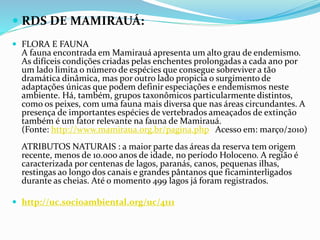  RDS DE MAMIRAUÁ:
 FLORA E FAUNA
A fauna encontrada em Mamirauá apresenta um alto grau de endemismo.
As difíceis condições criadas pelas enchentes prolongadas a cada ano por
um lado limita o número de espécies que consegue sobreviver a tão
dramática dinâmica, mas por outro lado propicia o surgimento de
adaptações únicas que podem definir especiações e endemismos neste
ambiente. Há, também, grupos taxonômicos particularmente distintos,
como os peixes, com uma fauna mais diversa que nas áreas circundantes. A
presença de importantes espécies de vertebrados ameaçados de extinção
também é um fator relevante na fauna de Mamirauá.
(Fonte: http://www.mamiraua.org.br/pagina.php Acesso em: março/2010)
ATRIBUTOS NATURAIS : a maior parte das áreas da reserva tem origem
recente, menos de 10.000 anos de idade, no período Holoceno. A região é
caracterizada por centenas de lagos, paranás, canos, pequenas ilhas,
restingas ao longo dos canais e grandes pântanos que ficaminterligados
durante as cheias. Até o momento 499 lagos já foram registrados.
 http://uc.socioambiental.org/uc/4111
 