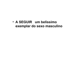 A SEGUIR  um belíssimo exemplar do sexo masculino 