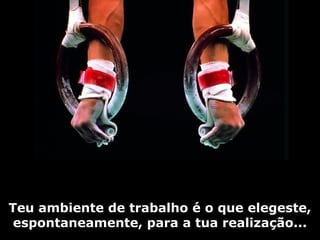 Teu ambiente de trabalho é o que elegeste, 
espontaneamente, para a tua realização... 
 