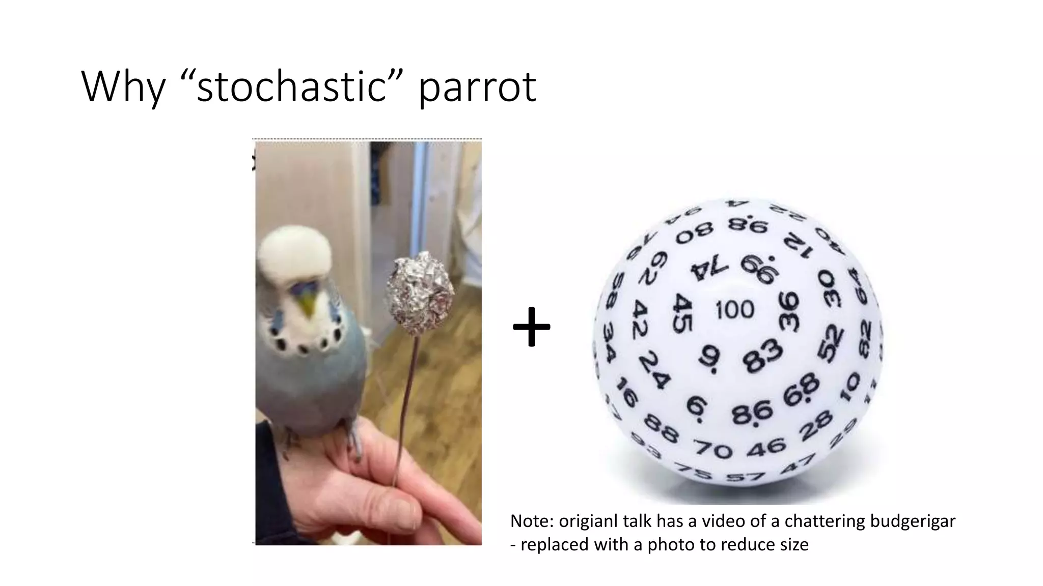 Why “stochastic” parrot
+
Note: origianl talk has a video of a chattering budgerigar
- replaced with a photo to reduce size
 