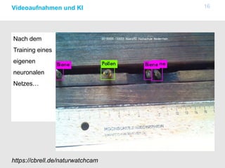 Nach dem
Training eines
eigenen
neuronalen
Netzes…
16Videoaufnahmen und KI
https://cbrell.de/naturwatchcam
 