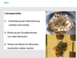 5Gain
Lösungsansätze
4. Unterstützung der Wahrnehmung
„Insekten sind wichtig“.
5. Erhöhung der Grundkenntnisse
von vielen Menschen
6. Wissen der Bienen für Menschen
(Landwirte) nutzbar machen
 