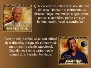Quando você se entristecer, reverta essa situação. Bloqueie o sentimento de tristeza. Ouça uma música alegre, cante, assista a comédias, pense em algo bonito. Assim, você se sentirá bem. Esse princípio aplica-se ao seu animal de estimação, porque ele coloca você em um ótimo estado emocional. Quando você sente carinho pelo animal atrai carinho, bondade. Empresário e filósofo 
