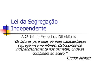 Lei da Segregação
Independente
A 2ª Lei de Mendel ou Diibridismo:
“Os fatores para duas ou mais características
segregam-se no híbrido, distribuindo-se
independentemente nos gametas, onde se
combinam ao acaso.”
Gregor Mendel
 