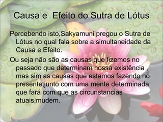 Causa e  Efeito do Sutra de LótusPercebendo isto,Sakyamuni pregou o Sutra de Lótus no qual fala sobre a simultaneidade da Causa e Efeito.Ou seja não são as causas que fizemos no passado que determinam nossa existência , mas sim as causas que estamos fazendo no presente,junto com uma mente determinada que fará com que as circunstancias atuais,mudem.