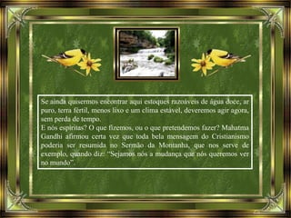 Se ainda quisermos encontrar aqui estoques razoáveis de água doce, ar
puro, terra fértil, menos lixo e um clima estável, deveremos agir agora,
sem perda de tempo.
E nós espíritas? O que fizemos, ou o que pretendemos fazer? Mahatma
Gandhi afirmou certa vez que toda bela mensagem do Cristianismo
poderia ser resumida no Sermão da Montanha, que nos serve de
exemplo, quando diz: “Sejamos nós a mudança que nós queremos ver
no mundo”.
 