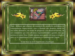 Hoje , sabemos que estamos na iminência de catástrofes ecológicas de
consequências imprevisíveis, caso o Homem não desperte rápido do
seu sonho destrutivo, em nome do progresso e do desenvolvimento, de
um condomínio que esta sob nossa responsabilidade e guarda ,mas que
pertence a nosso Deus Criador apenas para quadro de nossa evolução e
para ver se despertamos e nos religamos às realidades da Criação.
(Com base no livro Espiritismo e Ecologia)
 
