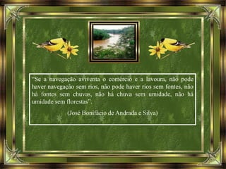 “Se a navegação aviventa o comércio e a lavoura, não pode
haver navegação sem rios, não pode haver rios sem fontes, não
há fontes sem chuvas, não há chuva sem umidade, não há
umidade sem florestas”.
(José Bonifácio de Andrada e Silva)
 