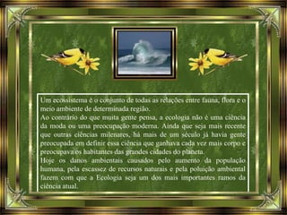 Um ecossistema é o conjunto de todas as relações entre fauna, flora e o
meio ambiente de determinada região.
Ao contrário do que muita gente pensa, a ecologia não é uma ciência
da moda ou uma preocupação moderna. Ainda que seja mais recente
que outras ciências milenares, há mais de um século já havia gente
preocupada em definir essa ciência que ganhava cada vez mais corpo e
preocupava os habitantes das grandes cidades do planeta.
Hoje os danos ambientais causados pelo aumento da população
humana, pela escassez de recursos naturais e pela poluição ambiental
fazem com que a Ecologia seja um dos mais importantes ramos da
ciência atual.
 