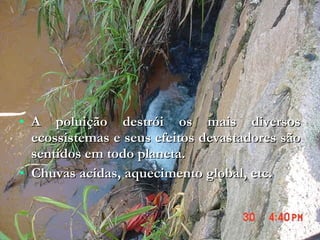 • A poluição destrói os mais diversosA poluição destrói os mais diversos
ecossistemas e seus efeitos devastadores sãoecossistemas e seus efeitos devastadores são
sentidos em todo planeta.sentidos em todo planeta.
• Chuvas acidas, aquecimento global, etc.Chuvas acidas, aquecimento global, etc.
 