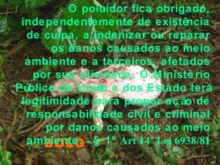 SOLO
O poluidor fica obrigado,
independentemente de existência
de culpa, a indenizar ou reparar
os danos causados ao meio
ambiente e a terceiros, afetados
por sua atividade. O Ministé rio
Público da União e dos Estado terá
legitimidade para propor aç ão de
responsabilidade civil e criminal
por danos causados ao meio
ambiente. - § 1º Art 14º Lei 6938/81
 