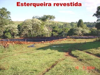 Esterqueira revestida
 