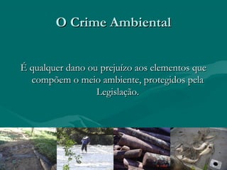 O Crime AmbientalO Crime Ambiental
É qualquer dano ou prejuízo aos elementos queÉ qualquer dano ou prejuízo aos elementos que
compõem o meio ambiente, protegidos pelacompõem o meio ambiente, protegidos pela
Legislação.Legislação.
 