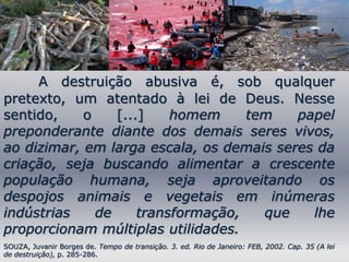 A destruição abusiva é, sob qualquer
pretexto, um atentado à lei de Deus. Nesse
sentido,    o    [...]    homem     tem   papel
preponderante diante dos demais seres vivos,
ao dizimar, em larga escala, os demais seres da
criação, seja buscando alimentar a crescente
população humana, seja aproveitando os
despojos animais e vegetais em inúmeras
indústrias    de     transformação,   que   lhe
proporcionam múltiplas utilidades.
SOUZA, Juvanir Borges de. Tempo de transição. 3. ed. Rio de Janeiro: FEB, 2002. Cap. 35 (A lei
de destruição), p. 285-286.
 