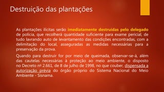 Destruição das plantações
As plantações ilícitas serão imediatamente destruídas pelo delegado
de polícia, que recolherá quantidade suficiente para exame pericial, de
tudo lavrando auto de levantamento das condições encontradas, com a
delimitação do local, asseguradas as medidas necessárias para a
preservação da prova.
Quando para destruir for por meio de queimada, observar-se-á, além
das cautelas necessárias à proteção ao meio ambiente, o disposto
no Decreto no 2.661, de 8 de julho de 1998, no que couber, dispensada a
autorização prévia do órgão próprio do Sistema Nacional do Meio
Ambiente - Sisnama.
 