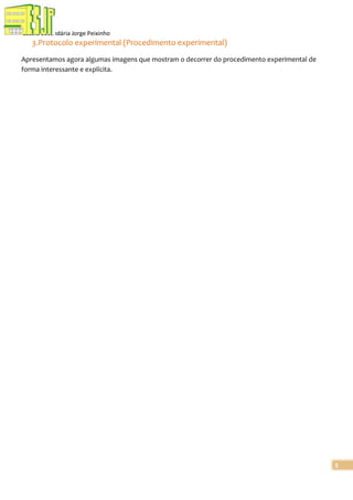 Escola Secundária Jorge Peixinho

3.Protocolo experimental (Procedimento experimental)
Apresentamos agora algumas imagens que mostram o decorrer do procedimento experimental de
forma interessante e explícita.

5

 
