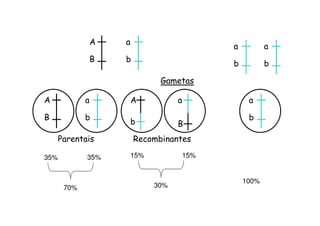 A   a
                                               a          a
                 B   b
                                               b          b

                                Gametas

A            a           A           a              a

B            b                                      b
                         b           B
      Parentais          Recombinantes

35%          35%         15%             15%


                                                   100%
       70%                     30%
 