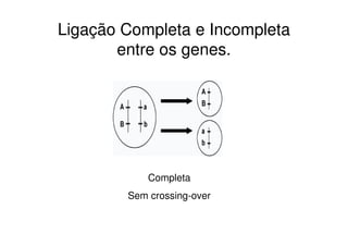 Ligação Completa e Incompleta
       entre os genes.




            Completa
        Sem crossing-over
 