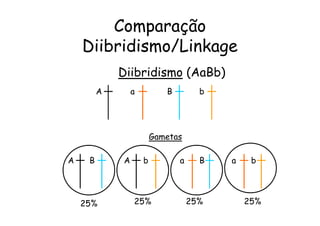 Comparação
    Diibridismo/Linkage
             Diibridismo (AaBb)
         A       a          B         b




                         Gametas

A    B       A       b          a     B   a    b




    25%          25%                25%       25%
 