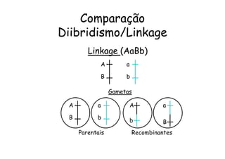 Comparação
Diibridismo/Linkage
        Linkage (AaBb)
               A        a

               B        b

                   Gametas

 A         a                A         a

 B         b
                            b         B
     Parentais              Recombinantes
 