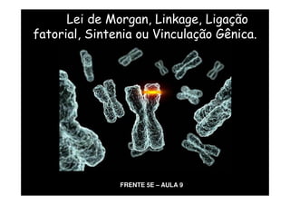 Lei de Morgan, Linkage, Ligação
fatorial, Sintenia ou Vinculação Gênica.




               FRENTE 5E – AULA 9
 