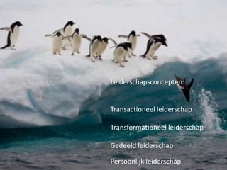 Leiderschapsconcepten:

Transactioneel leiderschap
Transformationeel leiderschap

Gedeeld leiderschap
Persoonlijk leiderschap

 