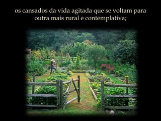 os cansados da vida agitada que se voltam para outra mais rural e contemplativa; 