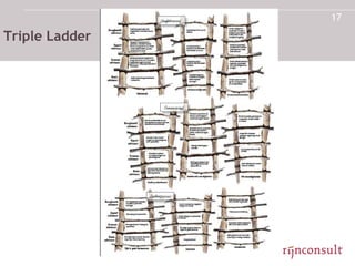 Triple Ladder 