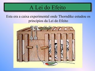 A Lei do Efeito
               A Lei do Efeito
Esta era a caixa experimental onde Thorndike estudou os
                princípios da Lei do Efeito
 