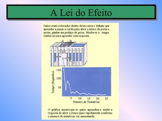 A Lei do Efeito
A Lei do Efeito
 