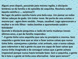 Alguns anos depois, passando pela mesma região, o discípulo lembrou-se da família e do episódio da vaquinha. Resolveu voltar àquela casinha e ... surpresa!!!No lugar da pobre casinha havia uma bela casa. Um pomar ao redor. Várias cabeças de gado. Um trator novo. Na porta da casa avistou o mesmo pai - agora bem vestido , limpo, saudável. Logo apareceram a mulher e os três filhos - todos bonitos e aparentando saúde e felicidade!Quando o discípulo perguntou a razão de tanta mudança nesses últimos anos, o pai da família respondeu:"- A gente tinha uma vaquinha que caiu no precipício e morreu. Sem vaquinha a gente teve que se virar e fazer outras coisas que nunca tinha feito. começamos a plantar, criar animais, usar a nossa cabeça para sobreviver e daí a gente viu que era capaz de fazer coisas que nunca tinha imaginado e de conseguir coisas que a gente achava impossível porque nunca havia tentado fazer. Sem a vaquinha, a gente foi à luta e a gente só tinha essa alternativa - lutar para vencer!"